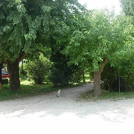 Ice Горгонцола